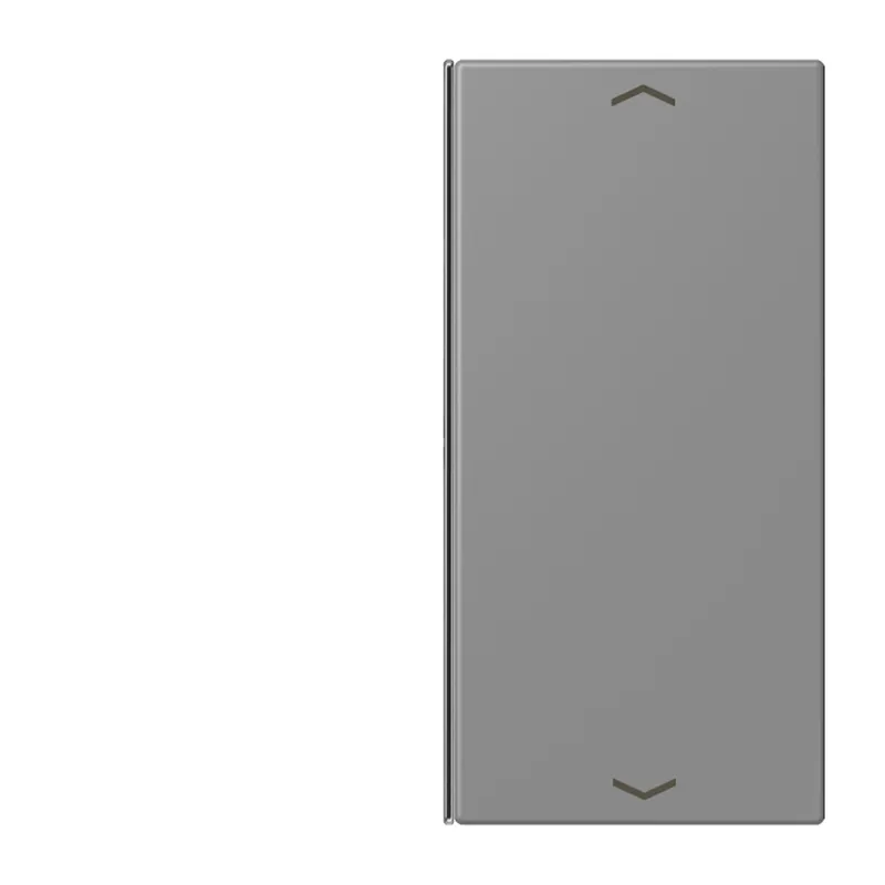 Jung Taste 2fach, mit Pfeilsymbolen, F40, Serie LS, gris 31 LC402TSAP203