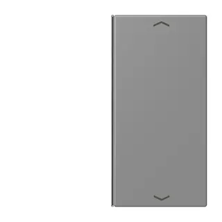 Jung Taste 2fach, mit Pfeilsymbolen, F40, Serie LS, gris 31 LC402TSAP203