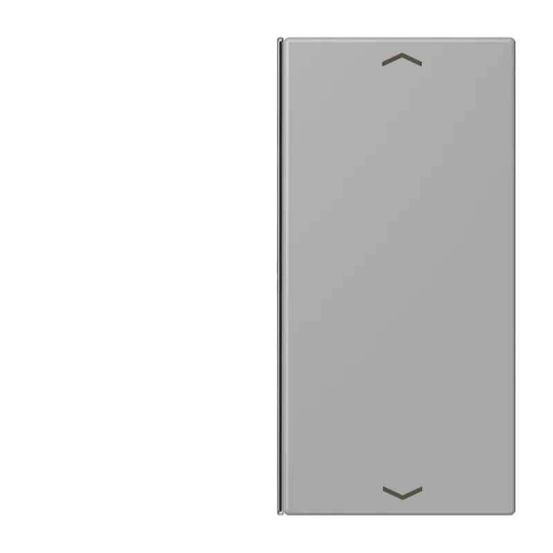 Jung Taste 2fach, mit Pfeilsymbolen, F40, Serie LS, gris moyen LC402TSAP204