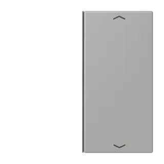 Jung Taste 2fach, mit Pfeilsymbolen, F40, Serie LS, gris moyen LC402TSAP204