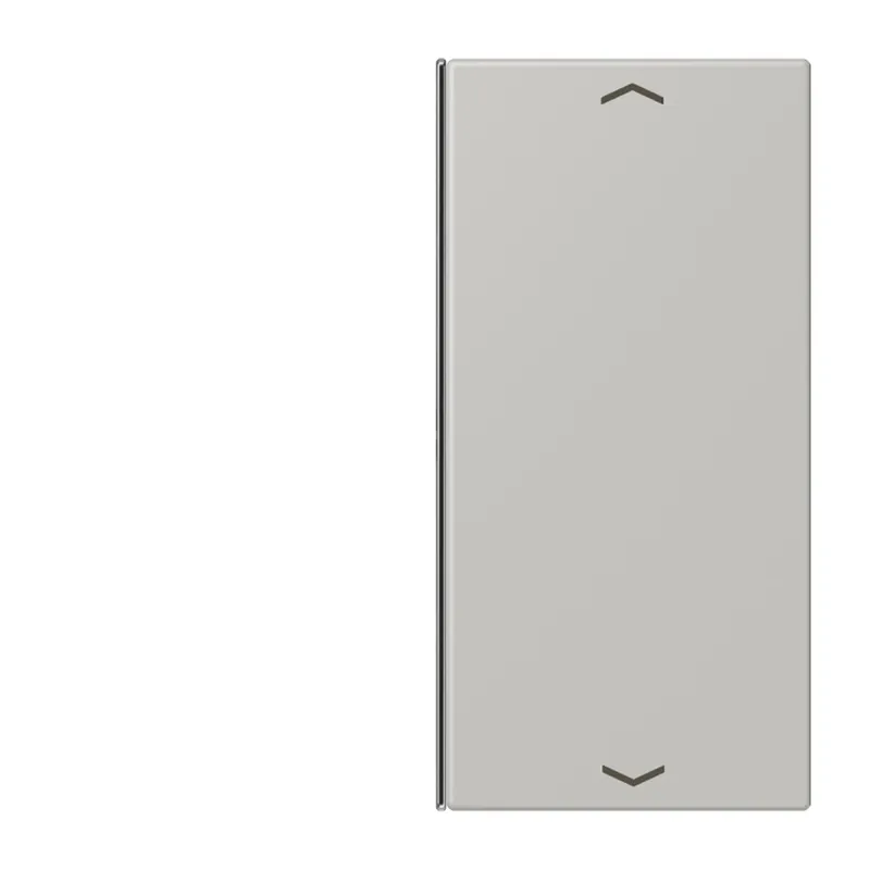 Jung Taste 2fach, mit Pfeilsymbolen, F40, Serie LS, gris clair 31 LC402TSAP205