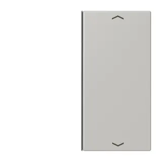 Jung Taste 2fach, mit Pfeilsymbolen, F40, Serie LS, gris clair 31 LC402TSAP205