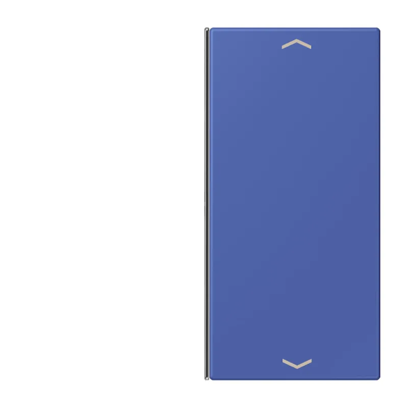 Jung Taste 2fach, mit Pfeilsymbolen, F40, Serie LS, bleu outremer 31 LC402TSAP206