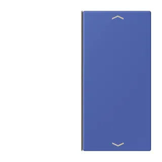 Jung Taste 2fach, mit Pfeilsymbolen, F40, Serie LS, bleu outremer 31 LC402TSAP206