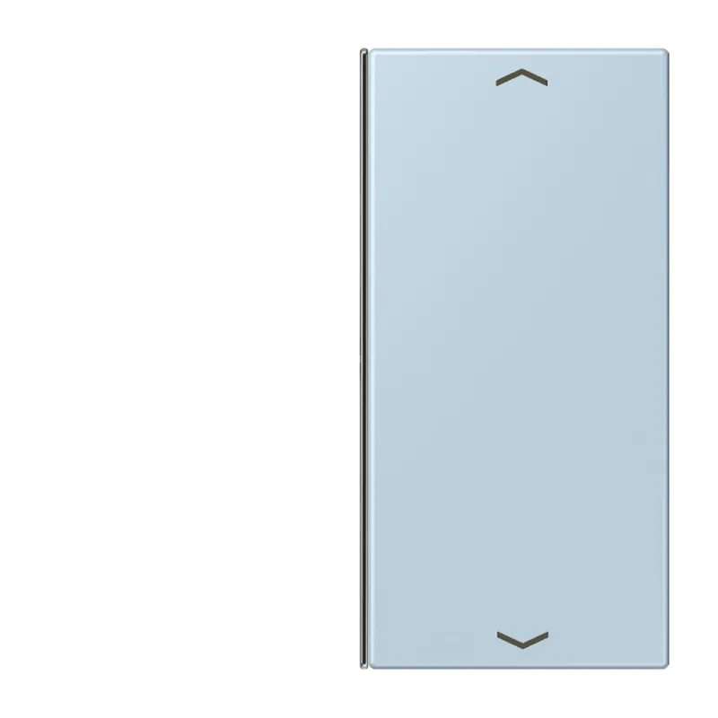 Jung Taste 2fach, mit Pfeilsymbolen, F40, Serie LS, outremerclair LC402TSAP208