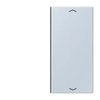 Jung Taste 2fach, mit Pfeilsymbolen, F40, Serie LS, outremer pale LC402TSAP209