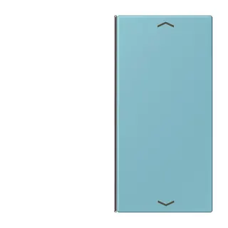 Jung Taste 2fach, mit Pfeilsymbolen, F40, Serie LS, céruléen moyen LC402TSAP213