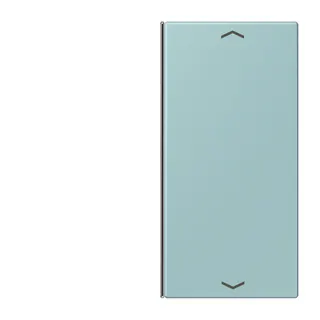 Jung Taste 2fach, mit Pfeilsymbolen, F40, Serie LS, céruléen clair LC402TSAP214