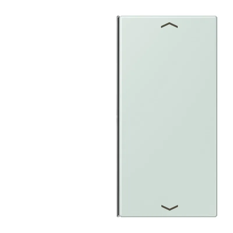 Jung Taste 2fach, mit Pfeilsymbolen, F40, Serie LS, céruléen pale LC402TSAP215