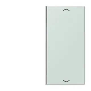 Jung Taste 2fach, mit Pfeilsymbolen, F40, Serie LS, céruléen pale LC402TSAP215