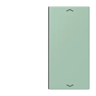 Jung Taste 2fach, mit Pfeilsymbolen, F40, Serie LS, vert anglais clair LC402TSAP217
