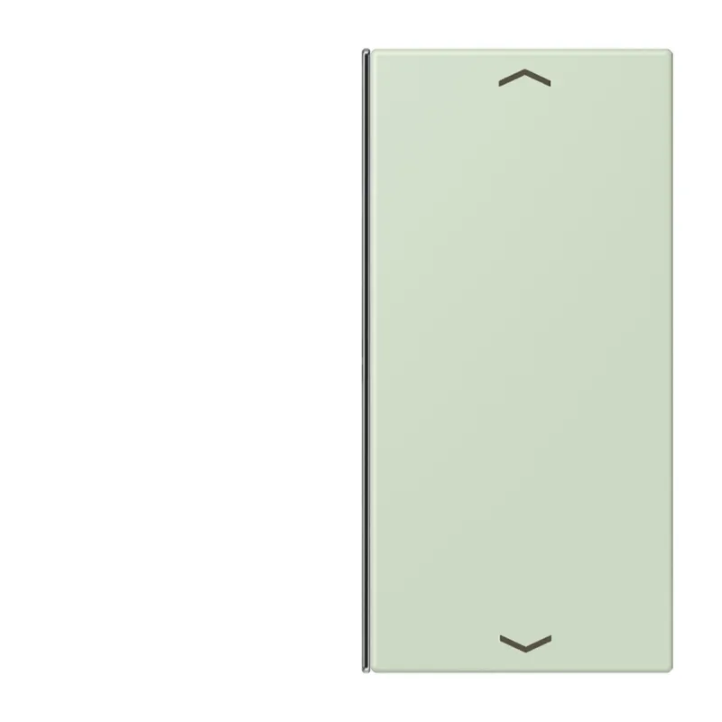 Jung Taste 2fach, mit Pfeilsymbolen, F40, Serie LS, vert anglâis pale LC402TSAP218
