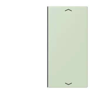 Jung Taste 2fach, mit Pfeilsymbolen, F40, Serie LS, vert anglâis pale LC402TSAP218
