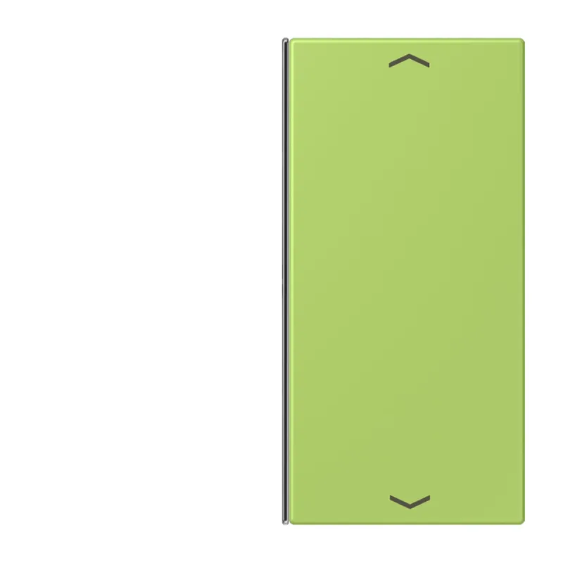 Jung Taste 2fach, mit Pfeilsymbolen, F40, Serie LS, vert clair LC402TSAP221