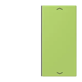 Jung Taste 2fach, mit Pfeilsymbolen, F40, Serie LS, vert clair LC402TSAP221