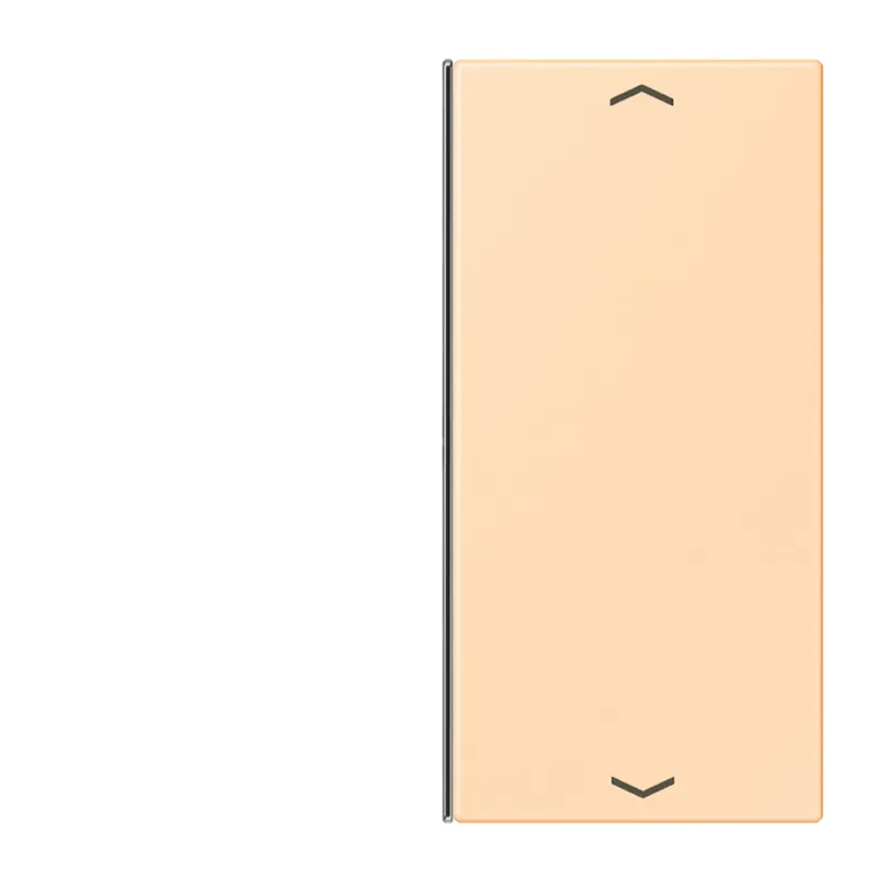 Jung Taste 2fach, mit Pfeilsymbolen, F40, Serie LS, ocre LC402TSAP223
