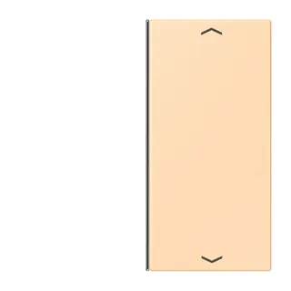 Jung Taste 2fach, mit Pfeilsymbolen, F40, Serie LS, ocre LC402TSAP223