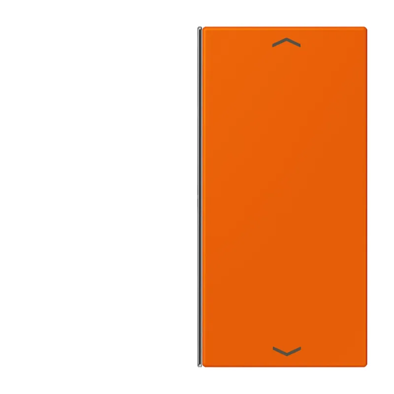 Jung Taste 2fach, mit Pfeilsymbolen, F40, Serie LS, orange LC402TSAP224