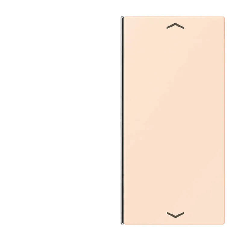 Jung Taste 2fach, mit Pfeilsymbolen, F40, Serie LS, orange pâle LC402TSAP226