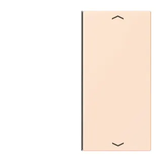 Jung Taste 2fach, mit Pfeilsymbolen, F40, Serie LS, orange pâle LC402TSAP226