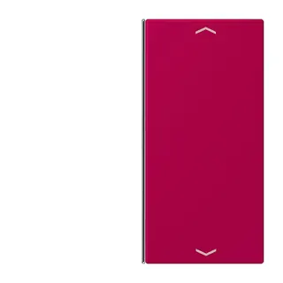 Jung Taste 2fach, mit Pfeilsymbolen, F40, Serie LS, rouge rubia LC402TSAP230