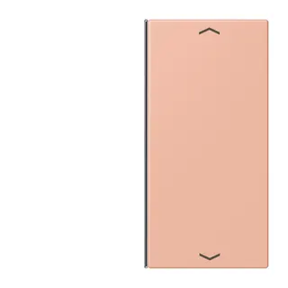 Jung Taste 2fach, mit Pfeilsymbolen, F40, Serie LS, rose clair LC402TSAP231