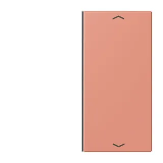 Jung Taste 2fach, mit Pfeilsymbolen, F40, Serie LS, l'ocre rouge moyen LC402TSAP233