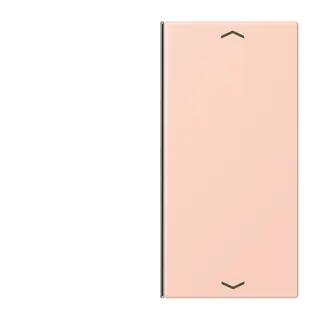 Jung Taste 2fach, mit Pfeilsymbolen, F40, Serie LS, l'ocre rouge clair LC402TSAP234