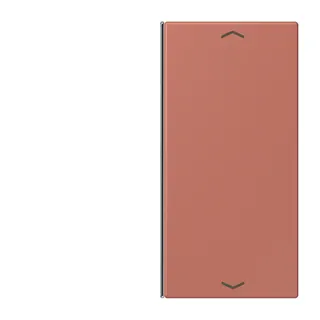 Jung Taste 2fach, mit Pfeilsymbolen, F40, Serie LS, terre sienne brique LC402TSAP236