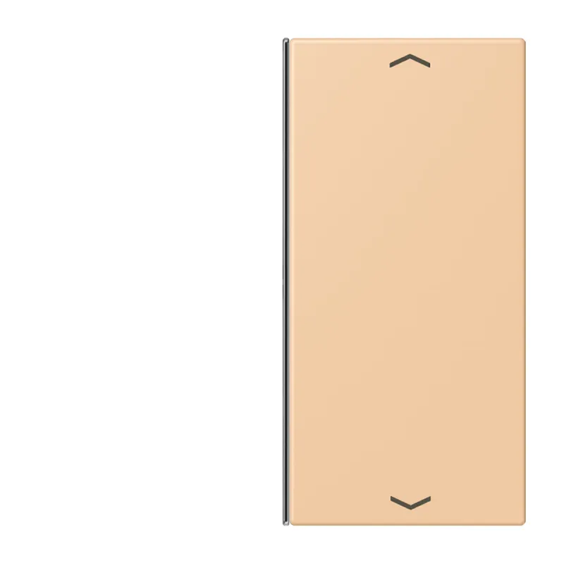 Jung Taste 2fach, mit Pfeilsymbolen, F40, Serie LS, terre sienne claire 31 LC402TSAP237