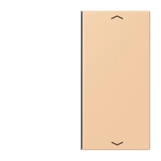 Jung Taste 2fach, mit Pfeilsymbolen, F40, Serie LS, terre sienne claire 31 LC402TSAP237