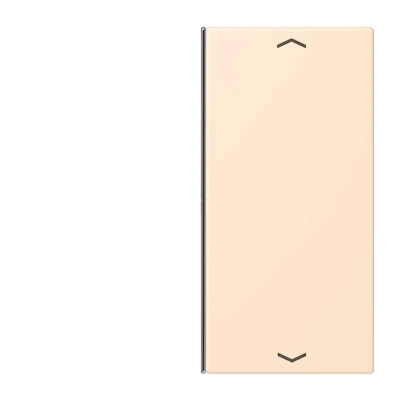 Jung Taste 2fach, mit Pfeilsymbolen, F40, Serie LS, terre sienne pâle LC402TSAP238