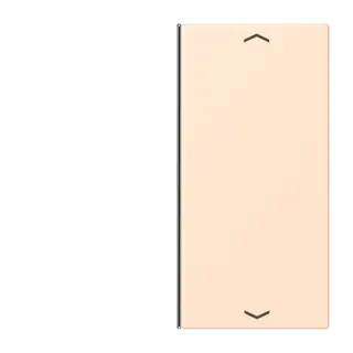 Jung Taste 2fach, mit Pfeilsymbolen, F40, Serie LS, terre sienne pâle LC402TSAP238