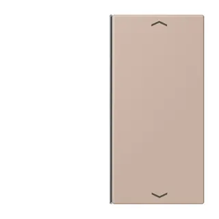 Jung Taste 2fach, mit Pfeilsymbolen, F40, Serie LS, ombre br?lée claire LC402TSAP240