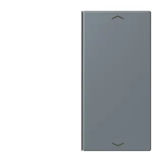 Jung Taste 2fach, mit Pfeilsymbolen, F40, Serie LS, gris 59 LC402TSAP251