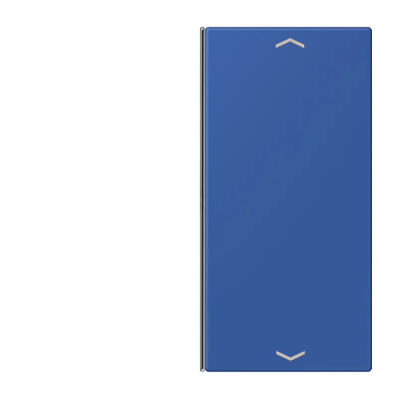 Jung Taste 2fach, mit Pfeilsymbolen, F40, Serie LS, bleu outremer 59 LC402TSAP253