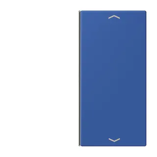Jung Taste 2fach, mit Pfeilsymbolen, F40, Serie LS, bleu outremer 59 LC402TSAP253