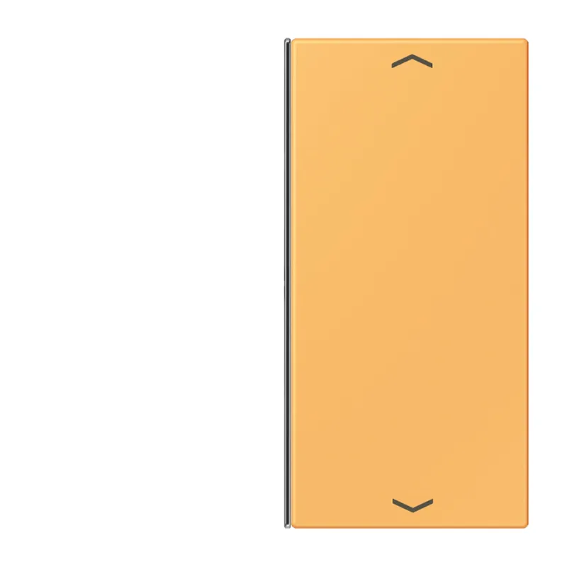 Jung Taste 2fach, mit Pfeilsymbolen, F40, Serie LS, ocre jaune clair LC402TSAP254