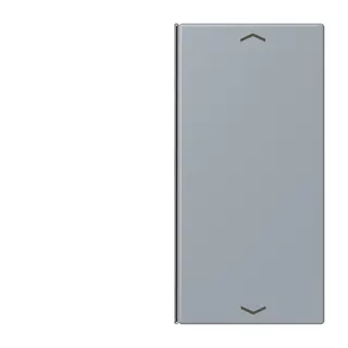 Jung Taste 2fach, mit Pfeilsymbolen, F40, Serie LS, gris clair 59 LC402TSAP257