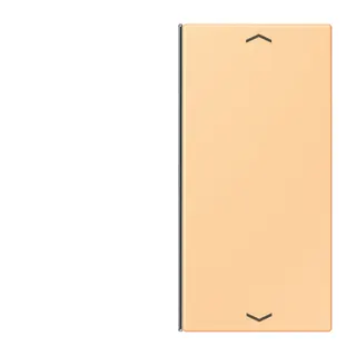 Jung Taste 2fach, mit Pfeilsymbolen, F40, Serie LS, terre sienne claire 59 LC402TSAP258