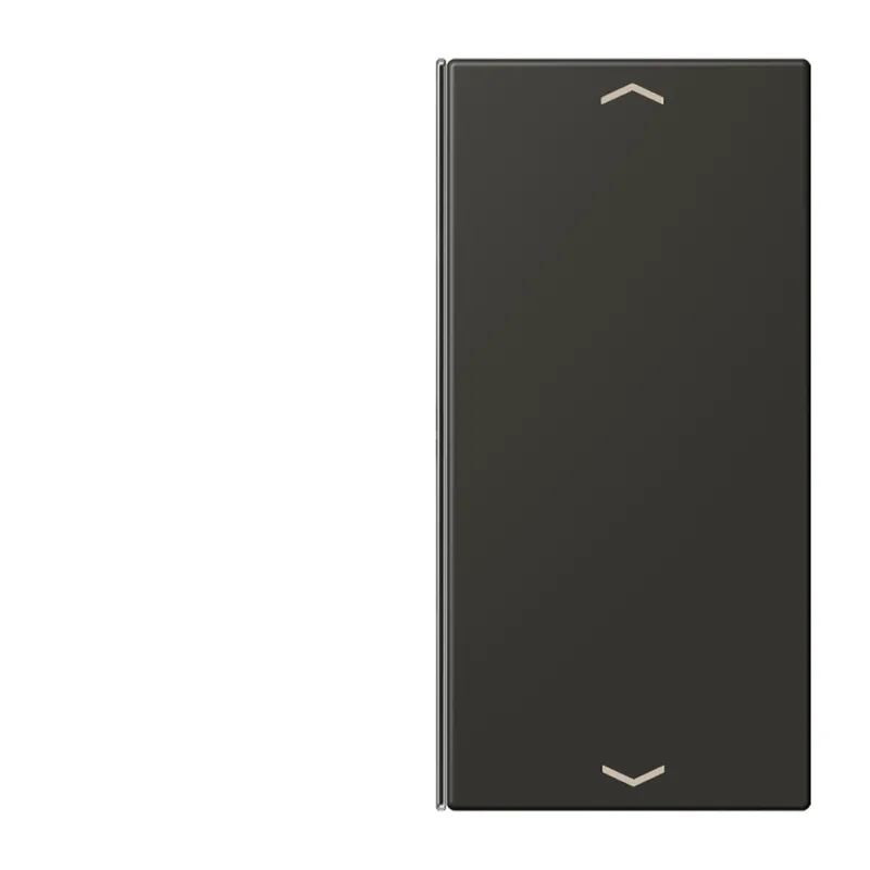 Jung Taste 2fach, mit Pfeilsymbolen, F40, Serie LS, ombre naturelle 59 LC402TSAP259