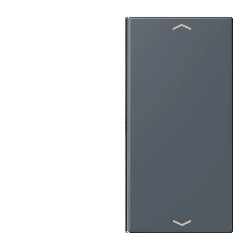 Jung Taste 2fach, mit Pfeilsymbolen, F40, Serie LS, gris fonce 59 LC402TSAP262