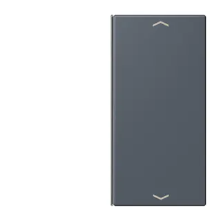 Jung Taste 2fach, mit Pfeilsymbolen, F40, Serie LS, gris fonce 59 LC402TSAP262