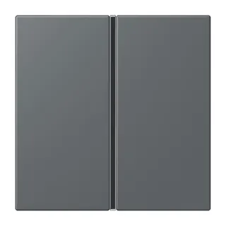 Jung Tastensatz 1fach, F40, Serie LS, gris foncé 31 LC401TSA202