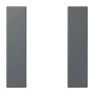 Jung Tastensatz 1fach, F50, Serie LS, gris foncé 31 LC501TSA202