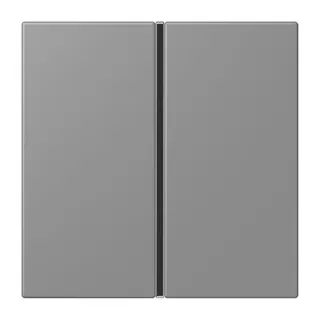 Jung Tastensatz 1fach, F40, Serie LS, gris 31 LC401TSA203