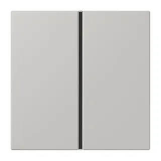 Jung Tastensatz 1fach, F40, Serie LS, gris clair 31 LC401TSA205