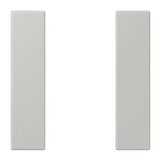 Jung Tastensatz 1fach, F50, Serie LS, gris clair 31 LC501TSA205