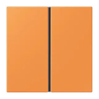 Jung Tastensatz 1fach, F40, Serie LS, orange clair LC401TSA225