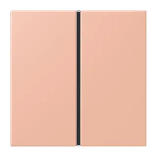 Jung Tastensatz 1fach, F40, Serie LS, rose clair LC401TSA231